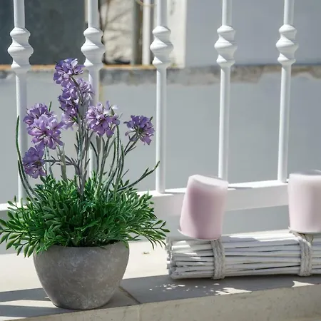 Appartement La Petite Maison *